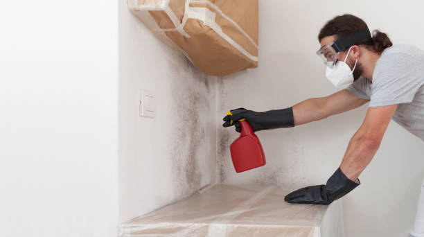 Professional Mold Remediation technician working in Harrison, MI