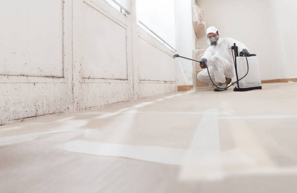 24/7 Emergency Mold Remediation experts in Harrison, MI