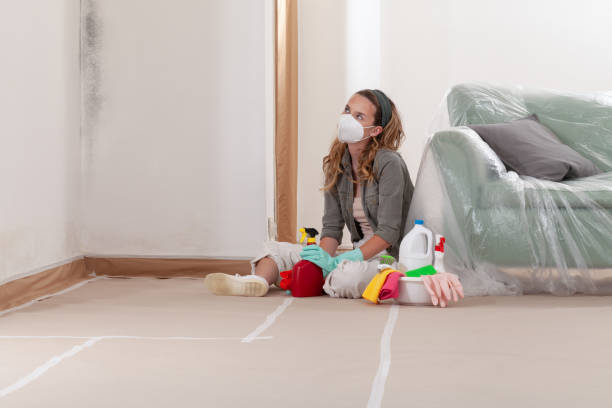 Reliable Mold Remediation contractor in Harrison, MI by Car Mold Remediation